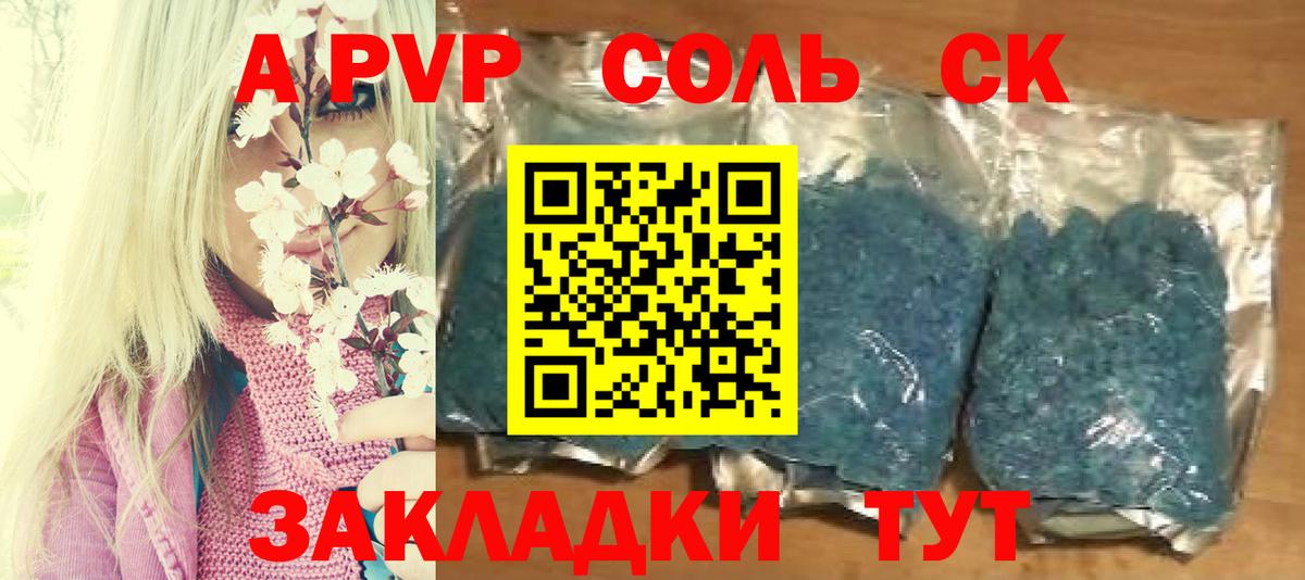 Альфа ПВП СК Тутаев