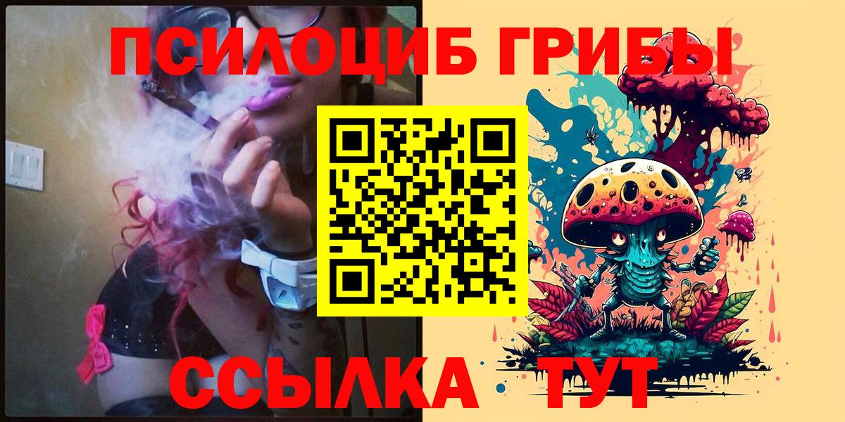 Галлюциногенные грибы Cubensis  Вход с VPN  Тутаев 